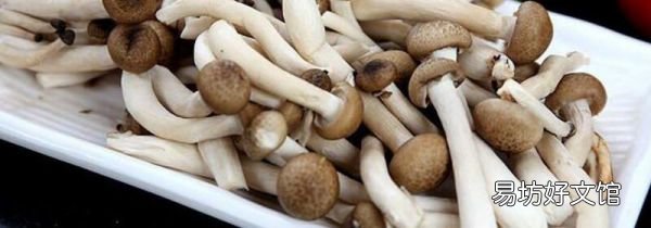 蟹味菇和白玉菇可以一起吃嗎