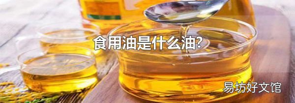 食用油是什么油?