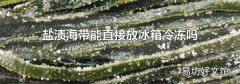 盐渍海带能直接放冰箱冷冻吗