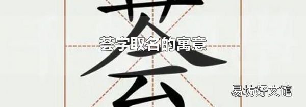 荟字取名的寓意