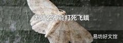 为什么不能打死飞蛾