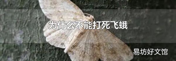 為什么不能打死飛蛾