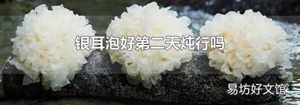 银耳泡好第二天炖行吗