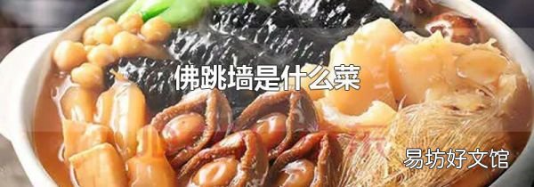 佛跳墙是什么菜