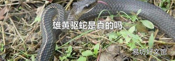 雄黃驅(qū)蛇是真的嗎