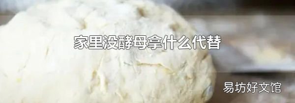 家里没酵母拿什么代替