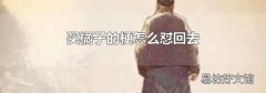 买橘子的梗怎么怼回去