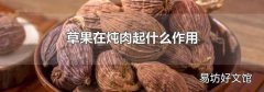 草果在炖肉起什么作用