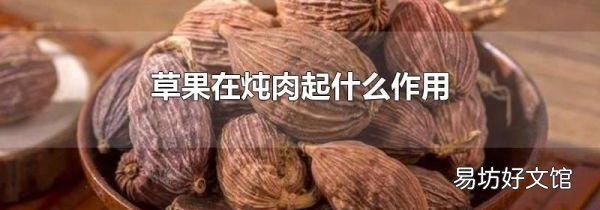 草果在炖肉起什么作用