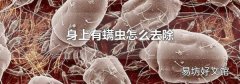 身上有螨虫怎么去除