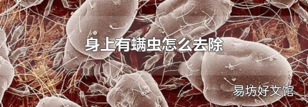 身上有螨虫怎么去除