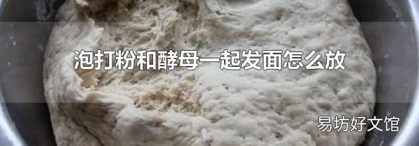 泡打粉和酵母一起發(fā)面怎么放