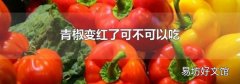 青椒变红了可不可以吃