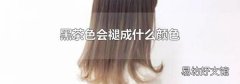 黑茶色会褪成什么颜色