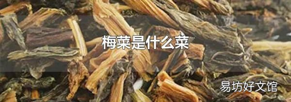 梅菜是什么菜