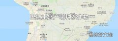巴拉圭盛产哪种农作物