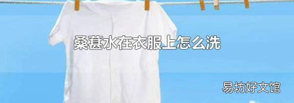 桑葚水在衣服上怎么洗