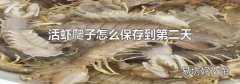 活虾爬子怎么保存到第二天