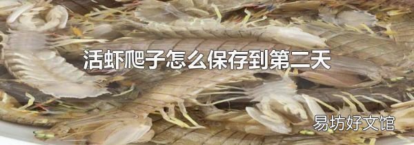 活蝦爬子怎么保存到第二天