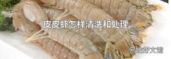 皮皮虾怎样清洗和处理