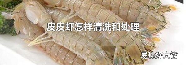 皮皮虾怎样清洗和处理