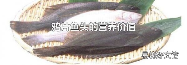 鴉片魚頭的營養(yǎng)價值