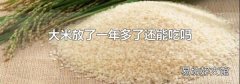 大米放了一年多了还能吃吗