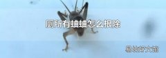 厕所有蛐蛐怎么根除