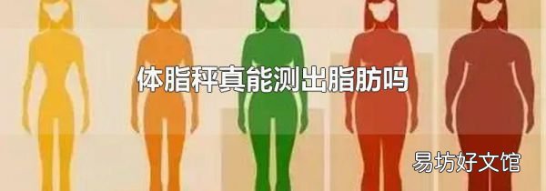 体脂秤真能测出脂肪吗