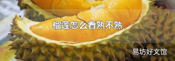 榴蓮怎么看熟不熟