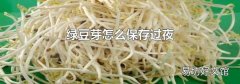 绿豆芽怎么保存过夜