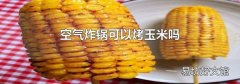 空气炸锅可以烤玉米吗