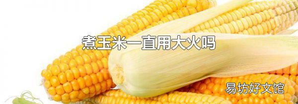煮玉米一直用大火吗