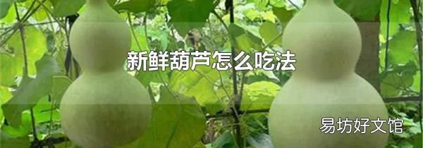 新鲜葫芦怎么吃法