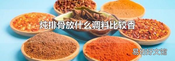 燉排骨放什么調(diào)料比較香
