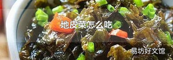 地皮菜怎么吃