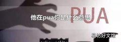 他在pua你是什么意思