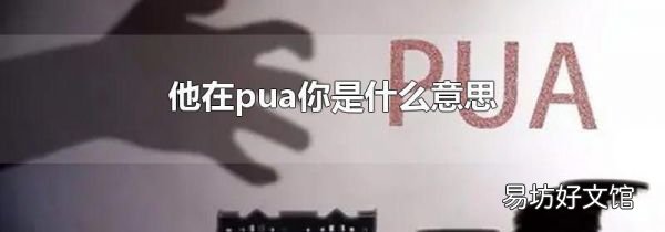 他在pua你是什么意思
