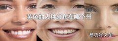 黄色的人种分布在哪个州
