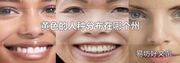 黃色的人種分布在哪個(gè)州