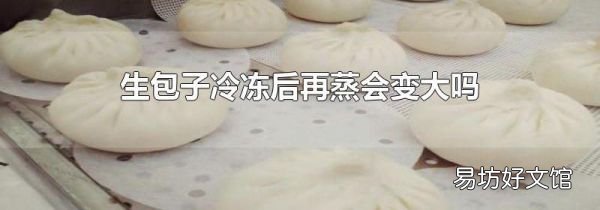 生包子冷冻后再蒸会变大吗