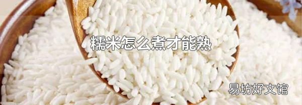 糯米怎么煮才能熟