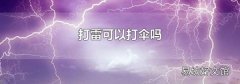 打雷可以打伞吗