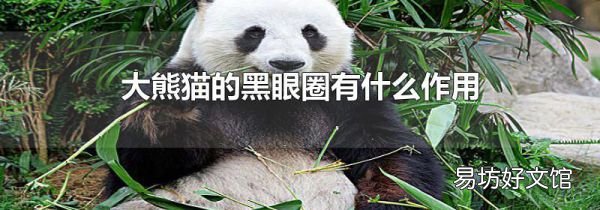 大熊猫的黑眼圈有什么作用