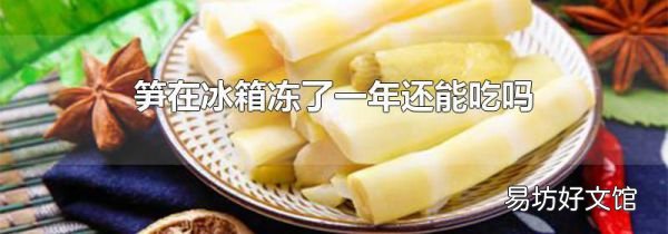 笋在冰箱冻了一年还能吃吗