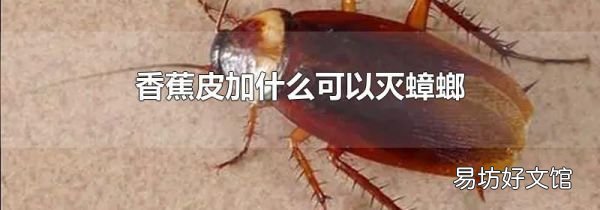 香蕉皮加什么可以灭蟑螂