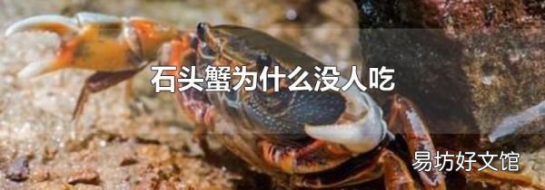 石头蟹为什么没人吃