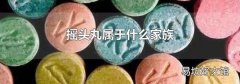 摇头丸属于什么家族