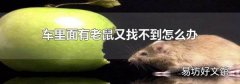 车里面有老鼠又找不到怎么办