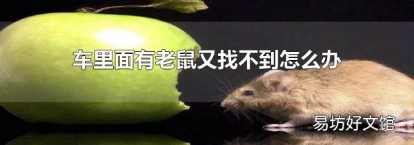 车里面有老鼠又找不到怎么办